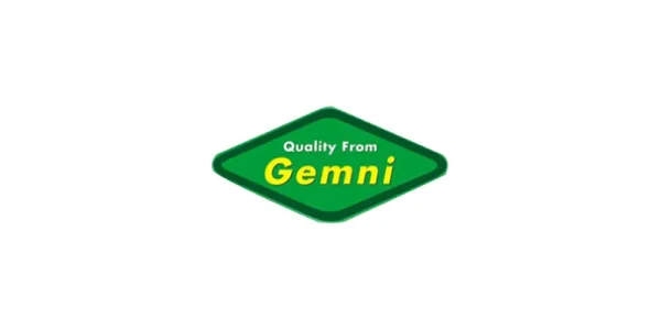 Gemni International