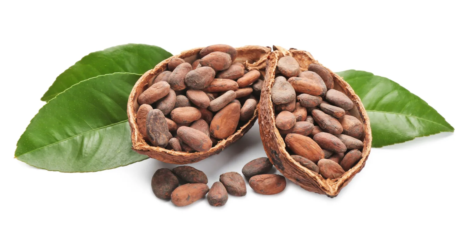 Forma Trading - Ingredients - photo 2